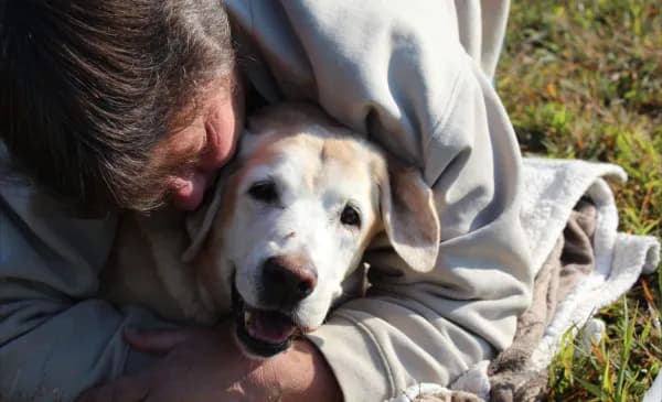 Abrazo perro